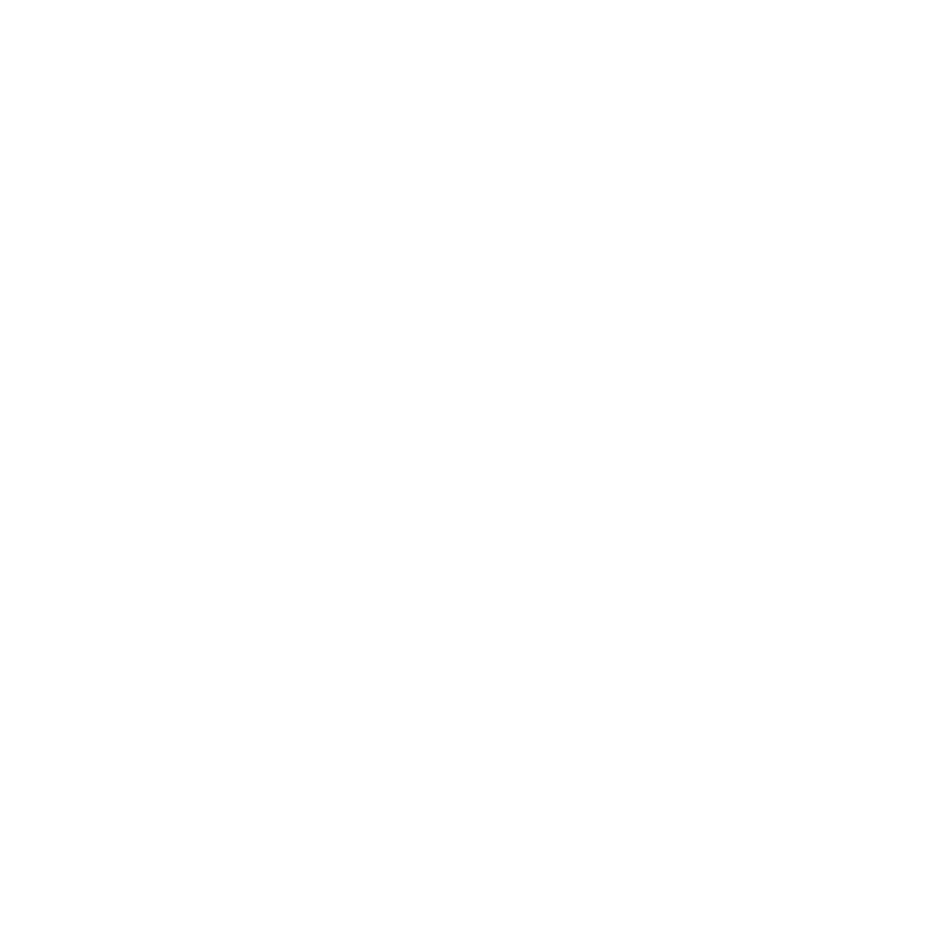 BRI Liga 1